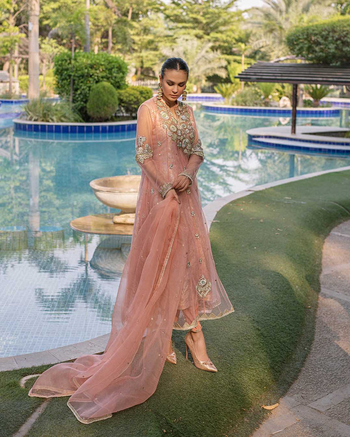 Dhanak